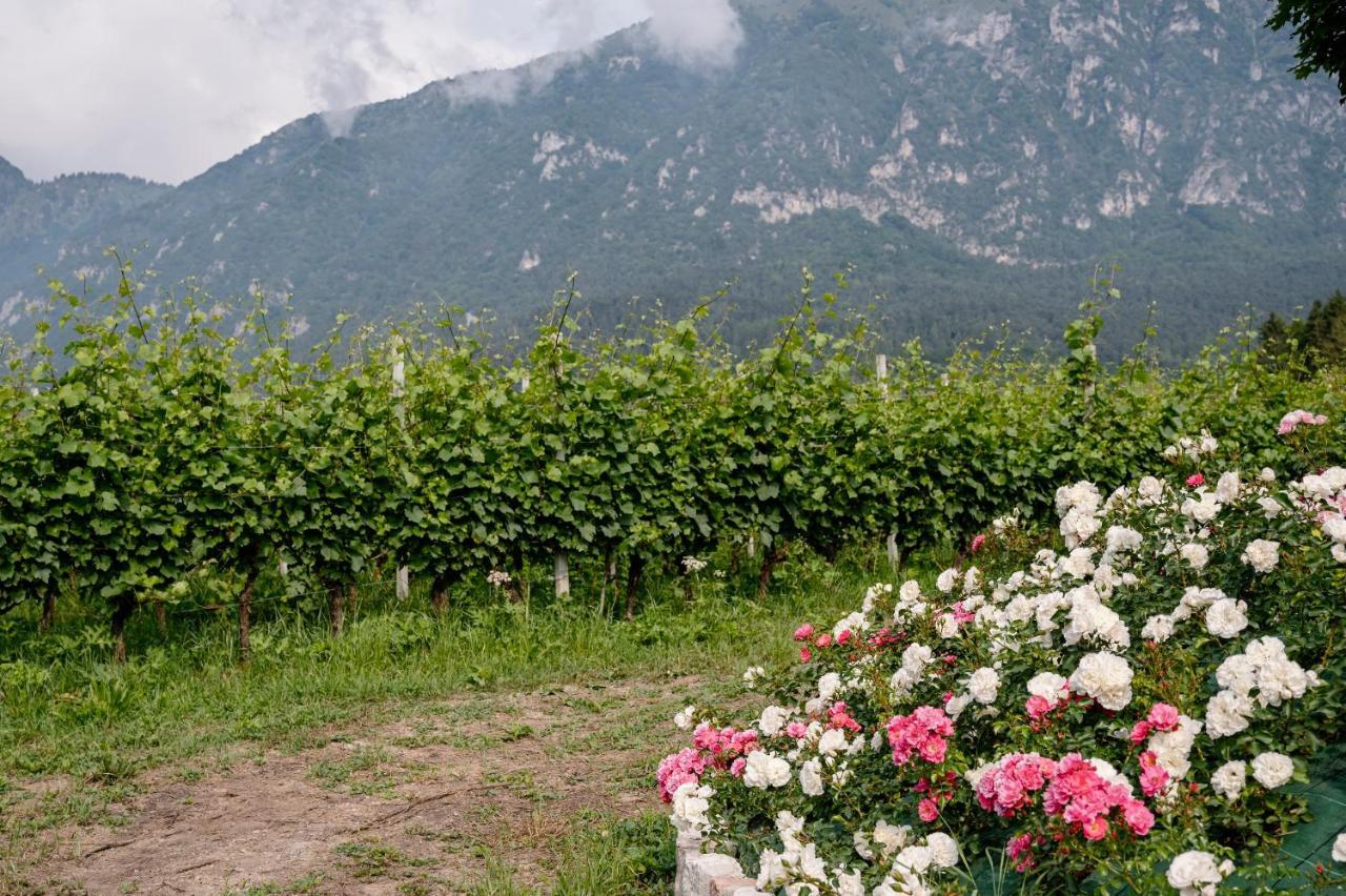 Agritur Maso Alle Rose B&B E Restaurant Balbido-rango Dış mekan fotoğraf