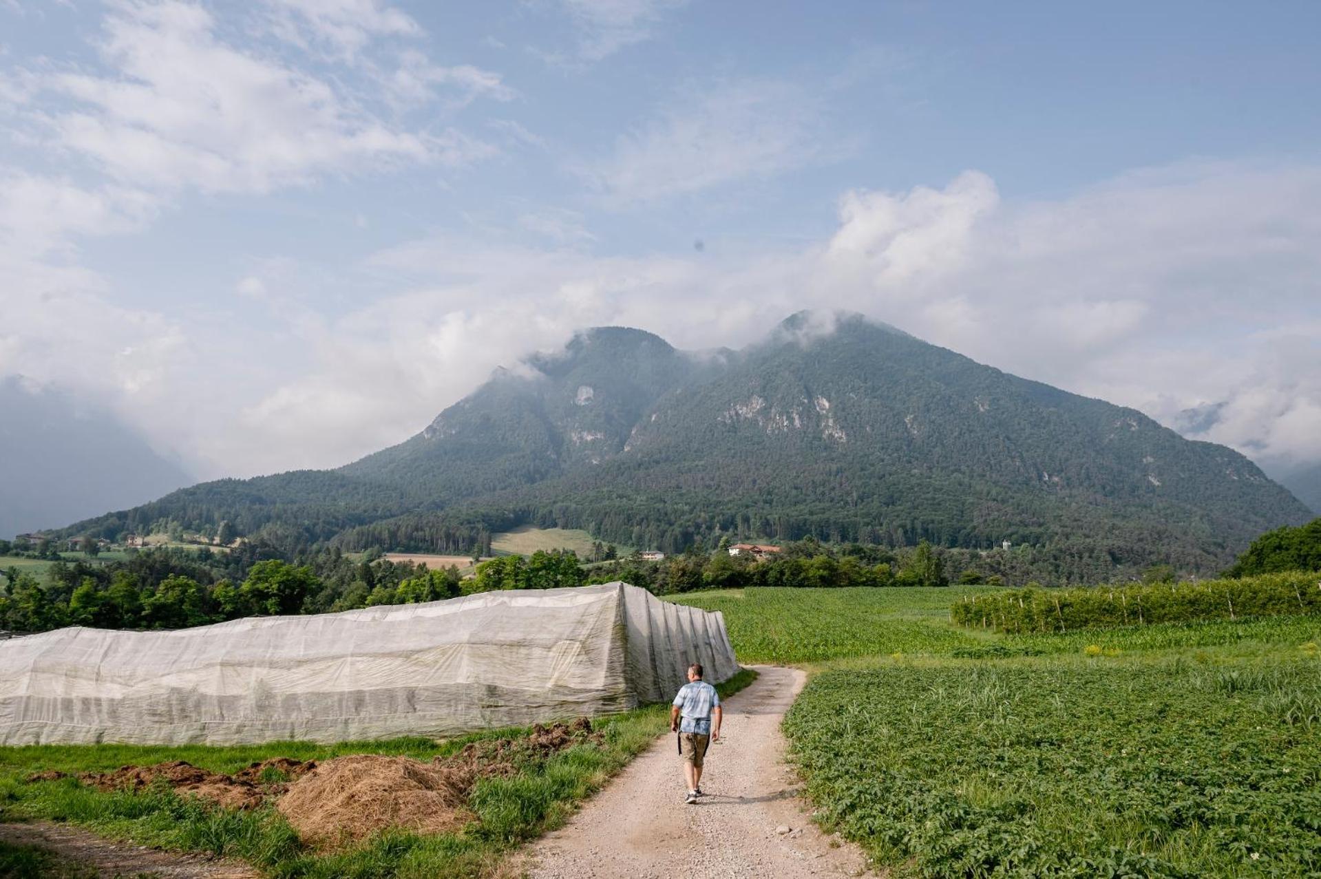 Agritur Maso Alle Rose B&B E Restaurant Balbido-rango Dış mekan fotoğraf