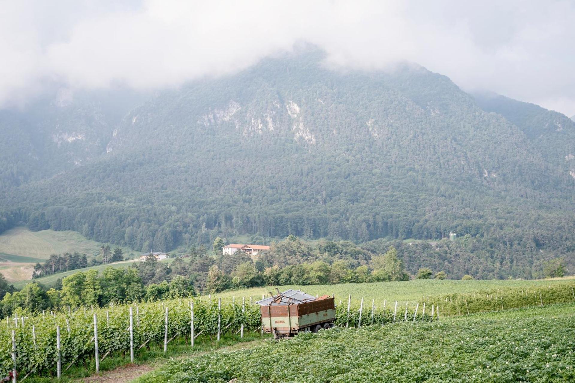 Agritur Maso Alle Rose B&B E Restaurant Balbido-rango Dış mekan fotoğraf