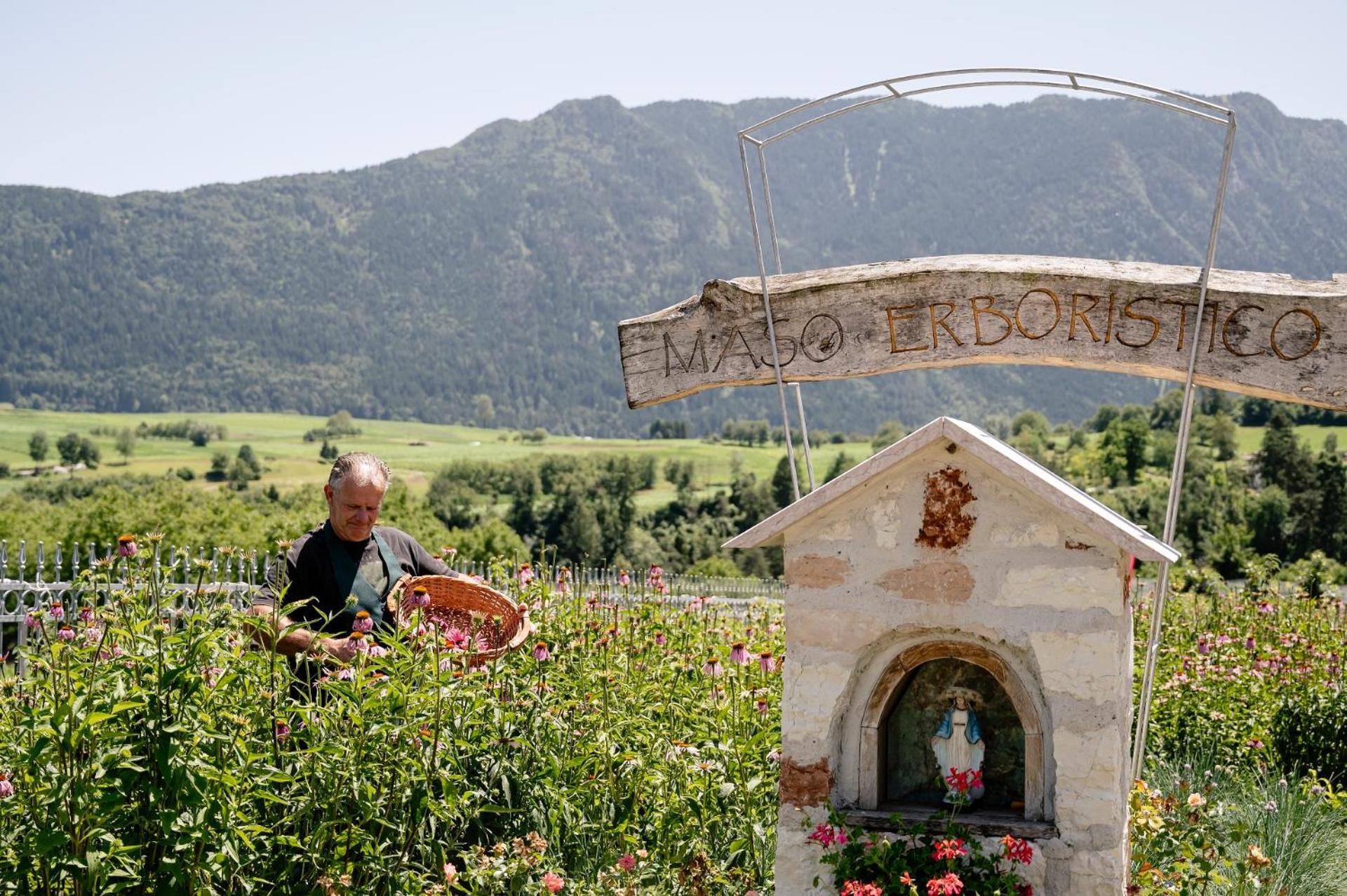 Agritur Maso Alle Rose B&B E Restaurant Balbido-rango Dış mekan fotoğraf