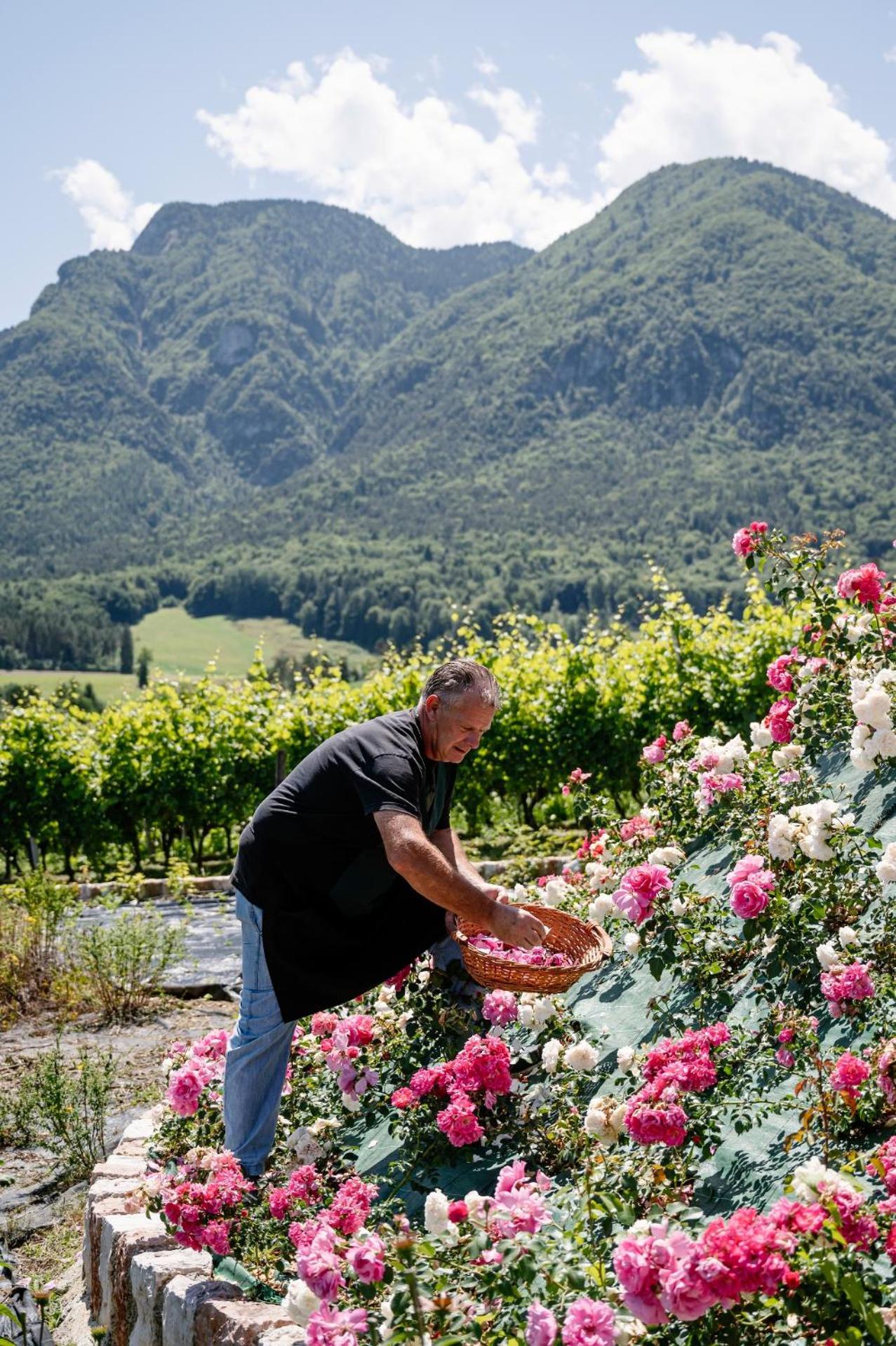 Agritur Maso Alle Rose B&B E Restaurant Balbido-rango Dış mekan fotoğraf